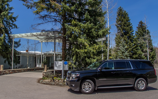 5 Passenger - Suburban 4x4 SUV